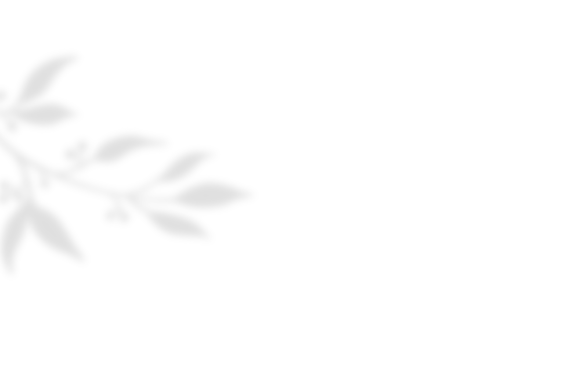 https://clos-oliviers.fr/wp-content/uploads/2020/10/shadow_leaves_04.png